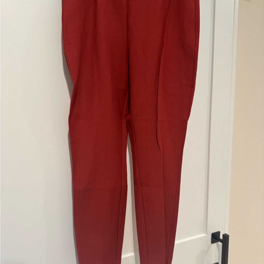 White House Black Market Burnt Sienna  Skinny Ankle Pants
